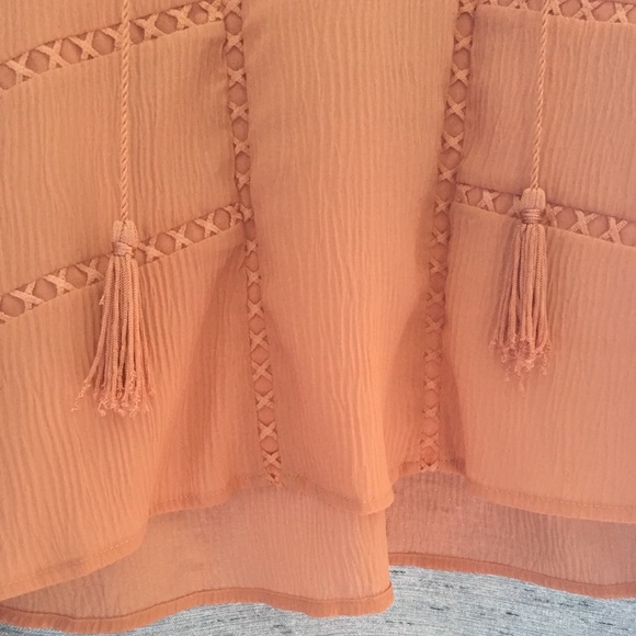 Revolve sheer chiffon blouse long sleeve blush - Picture 3 of 8